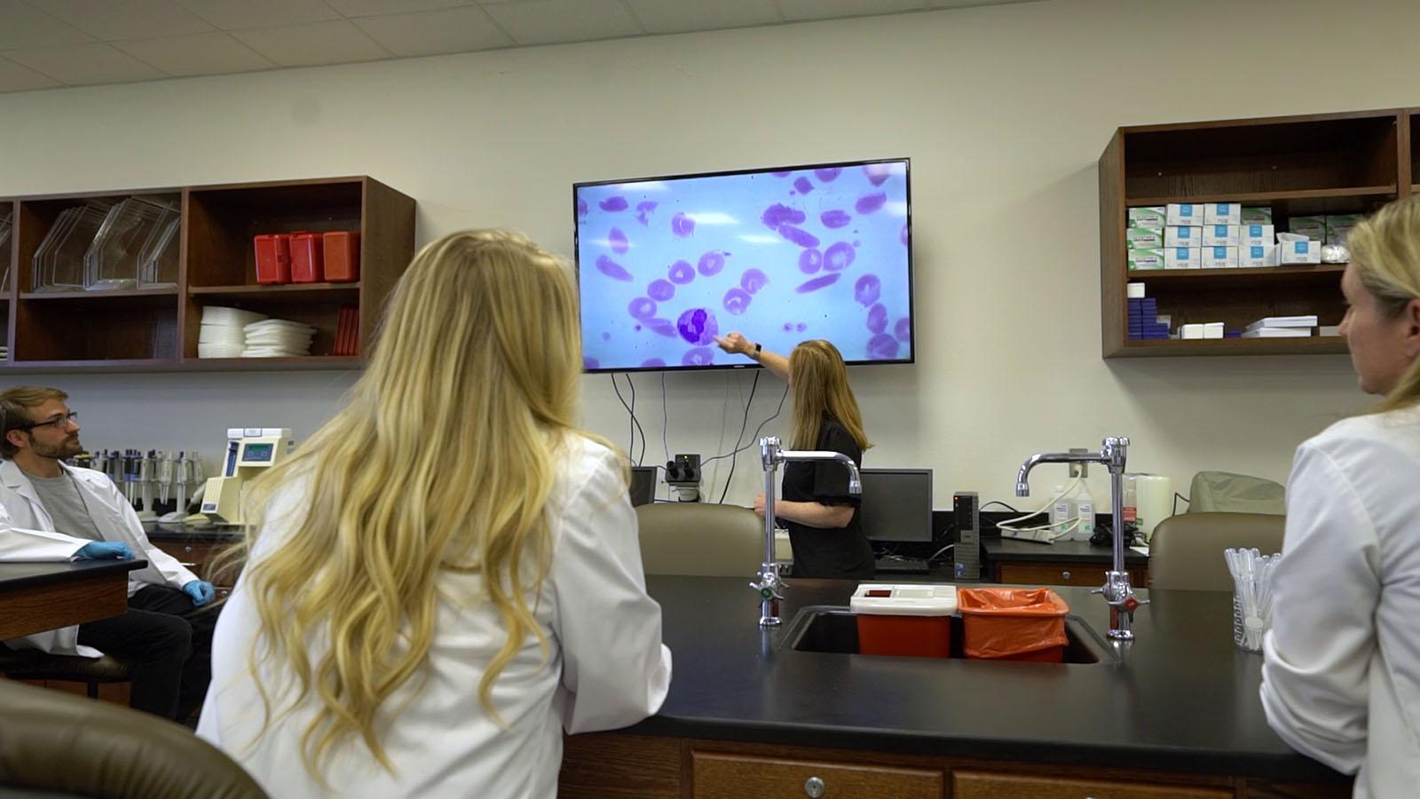Medical Laboratory Classroom Lecture with projection of red blood cells